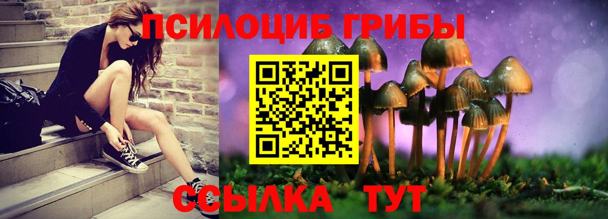 Рыбинск  Псилоцибиновые грибы мухоморы  Вход с VPN 